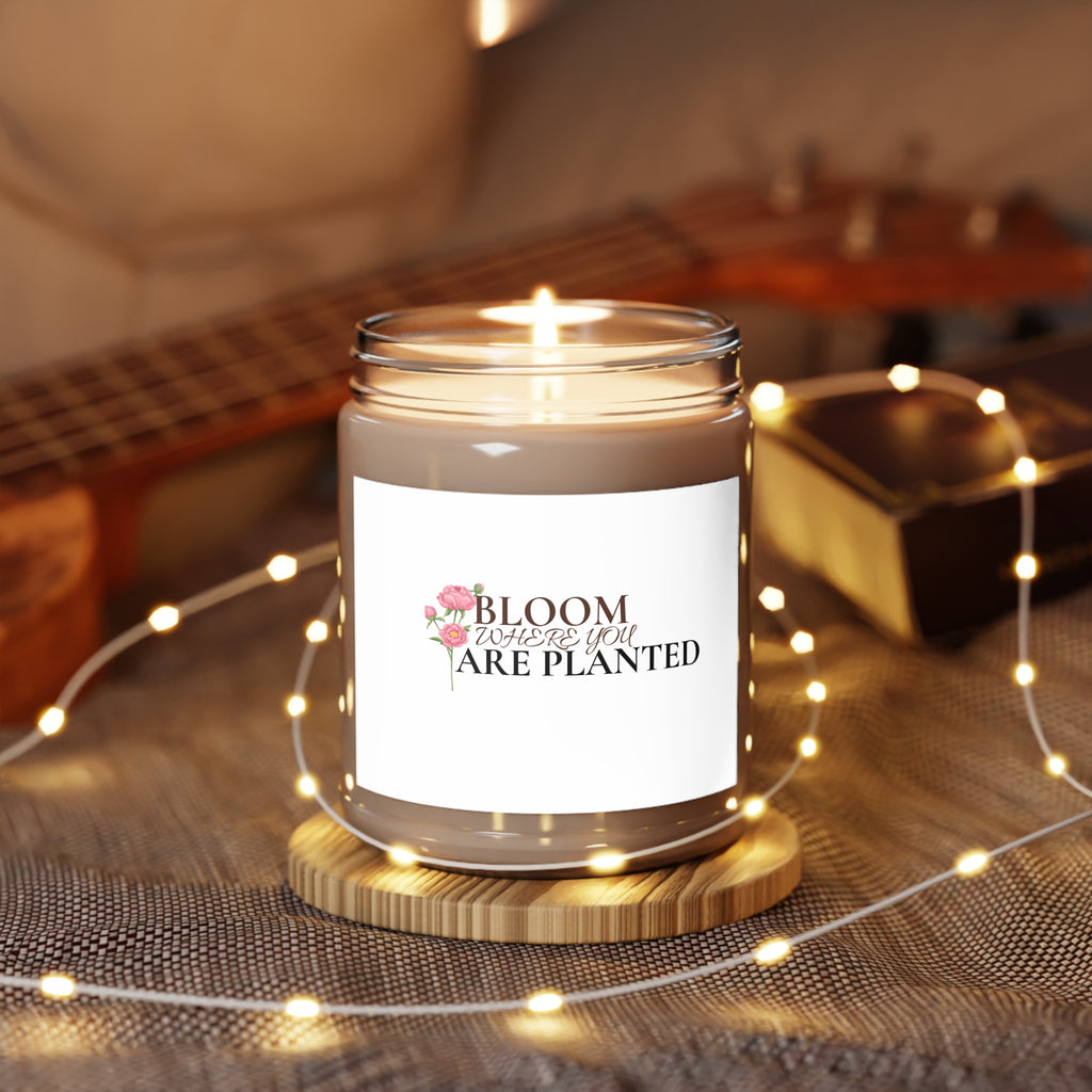 Bloom Where You Are Planted - 9oz Scented Soy Candle